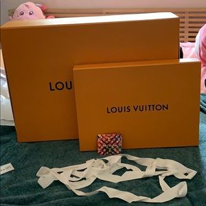 XL Louis Vuitton Box